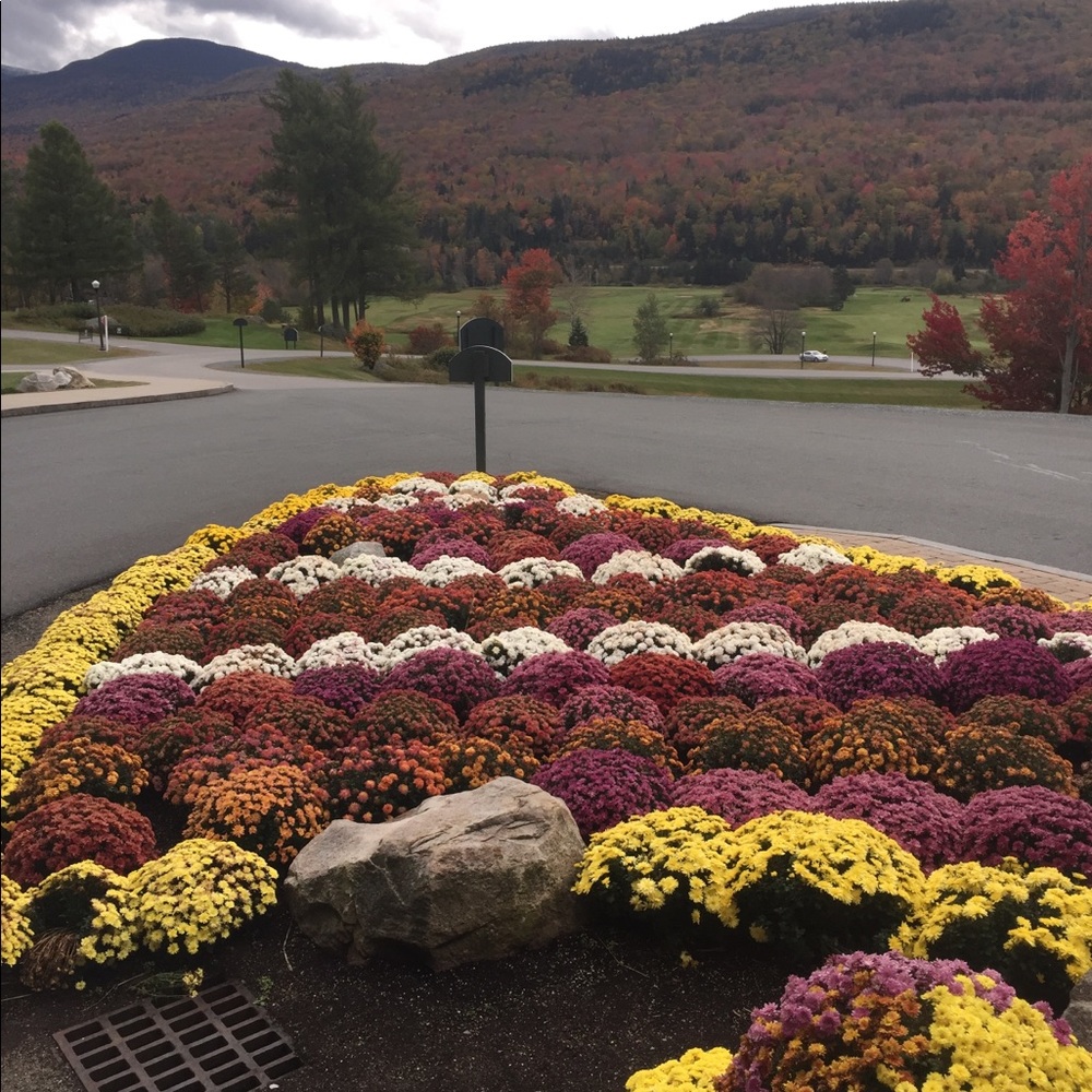 Meet your Posher, Sandi